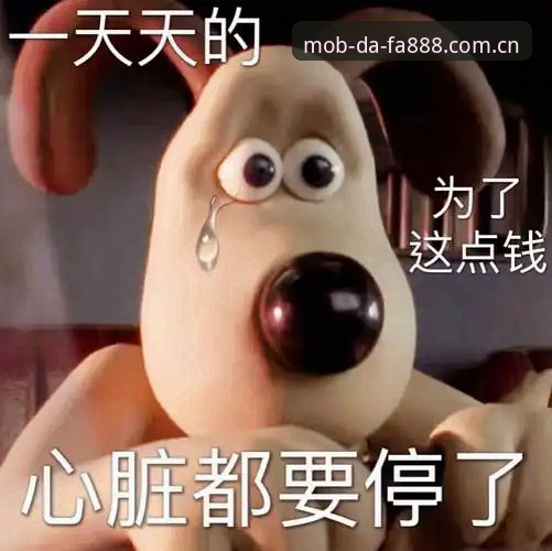 老用户憋了三个月的话：DAFA888新版赛事数据更新后，我终于不用再当"人肉刷新器"了